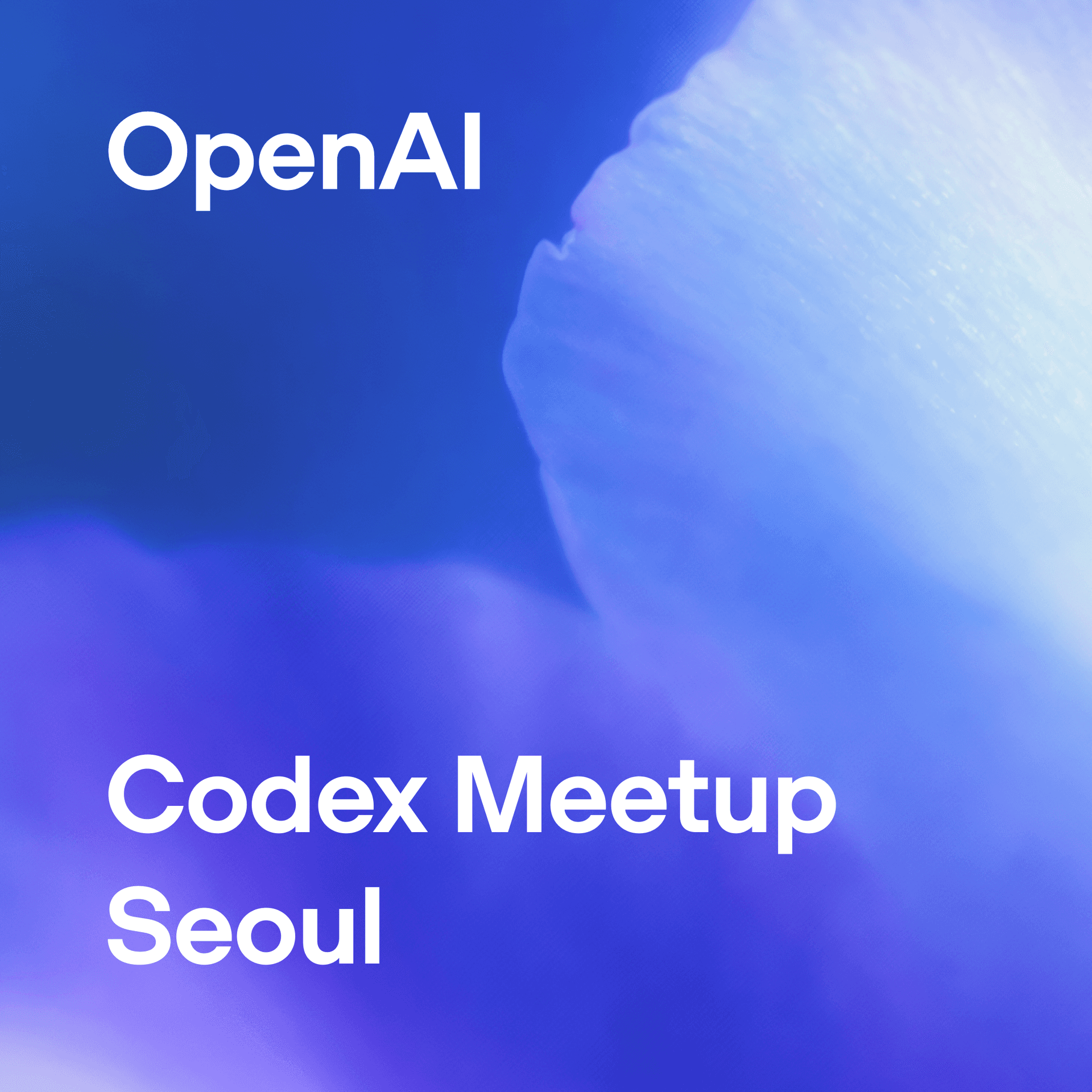 OpenAI Codex Meetup - Seoul