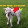 Maryhaznowittlelamb Ng