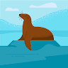 Shishir Kr